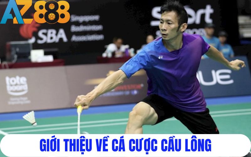 Cá cược cầu lông là gì?