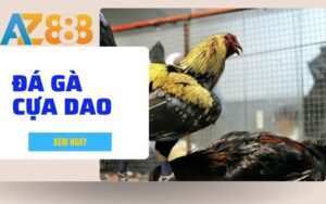 Huong Dan Cach Choi Da Ga Cua Dao Tai AZ888 Chi Tiet Cho Nguoi Moi 1 1 1